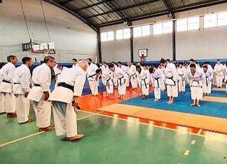 Karate tuvo su clase de Dojos de fin de año