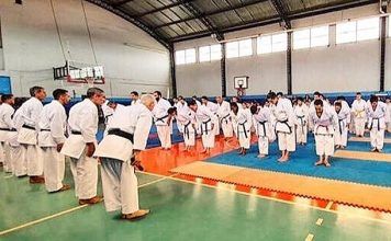 Karate tuvo su clase de Dojos de fin de año